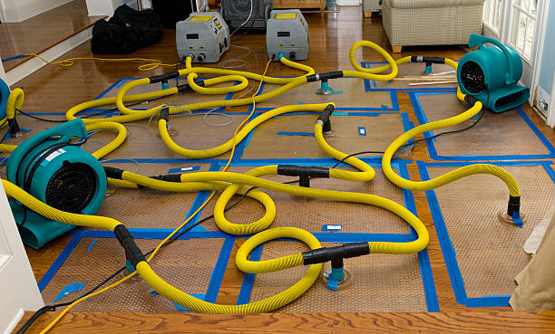 Professional Burst Pipe Water Damage technician working in Miramonte, CA